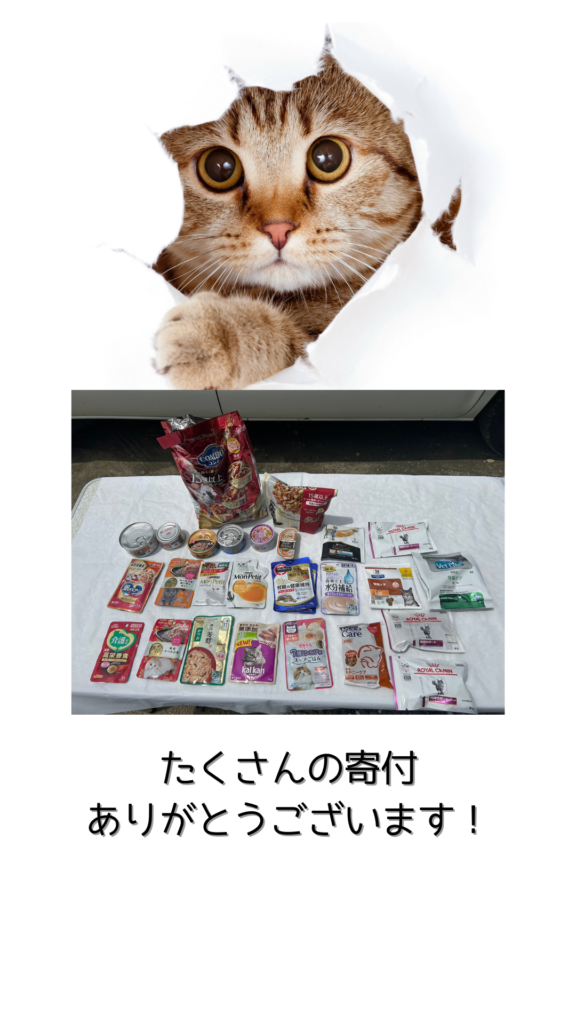 保護猫
寄付
ご飯等