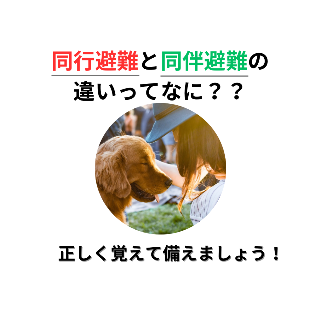 ペットの同行避難と同伴避難の違い